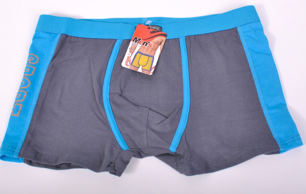 ns5861 Male boxer Cotton High quality man underwear panties male trunk hot sale Men s Clothing
