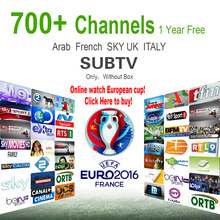 1 Year IPTV Server 700+ Arabic France European IPTV Account Italy UK Deutsch Portugal Indian IPTV Package 3RCA Cable Free Ship