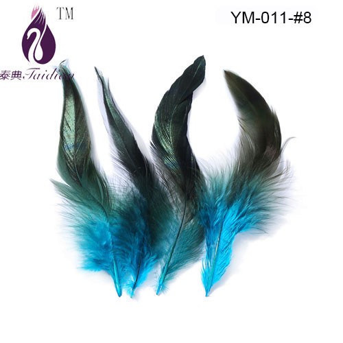 Rooster feather-8