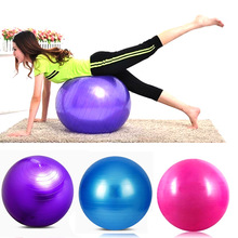 55cm Exercise Ball/Pilates Balance Ball