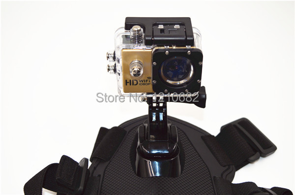 Fig. Image for content