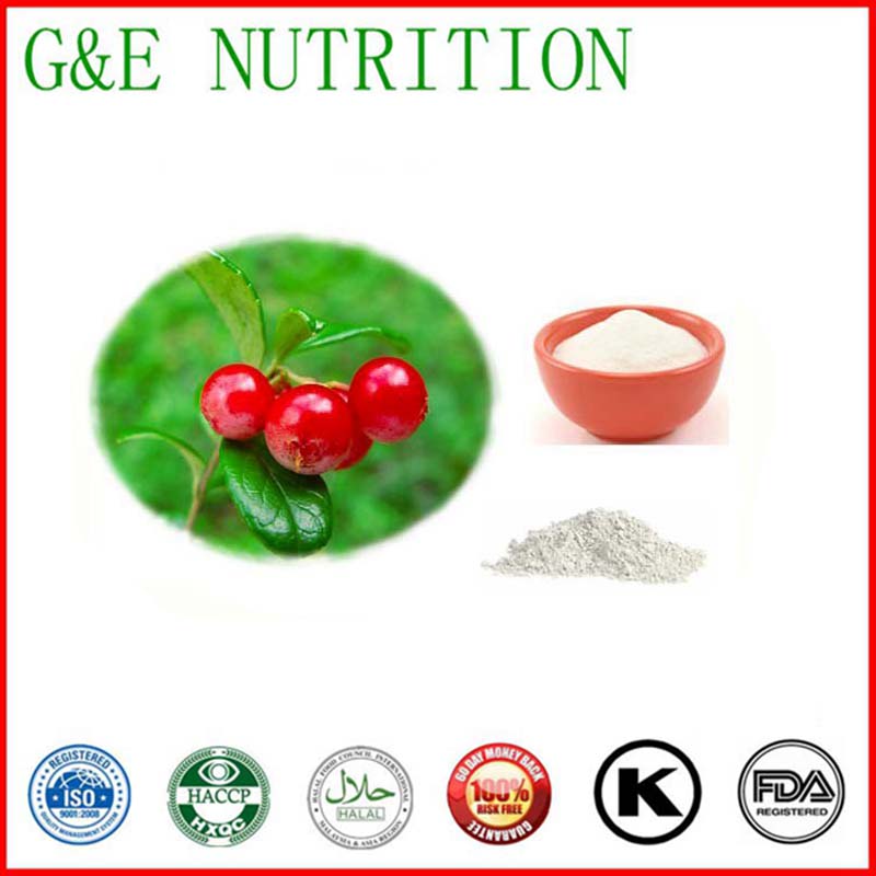Herbal extract type arbutin uva ursi/bearberry extract powder alpha arbutin 100g