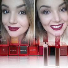 1pcs high quality Cosmetics LipGloss Batom Makeup Matte VELVETINES Waterproof Lip Gloss RIOT WICKED CASHMERE RED VELVET lipstick