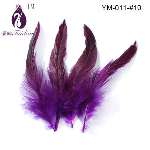 Rooster feather-10