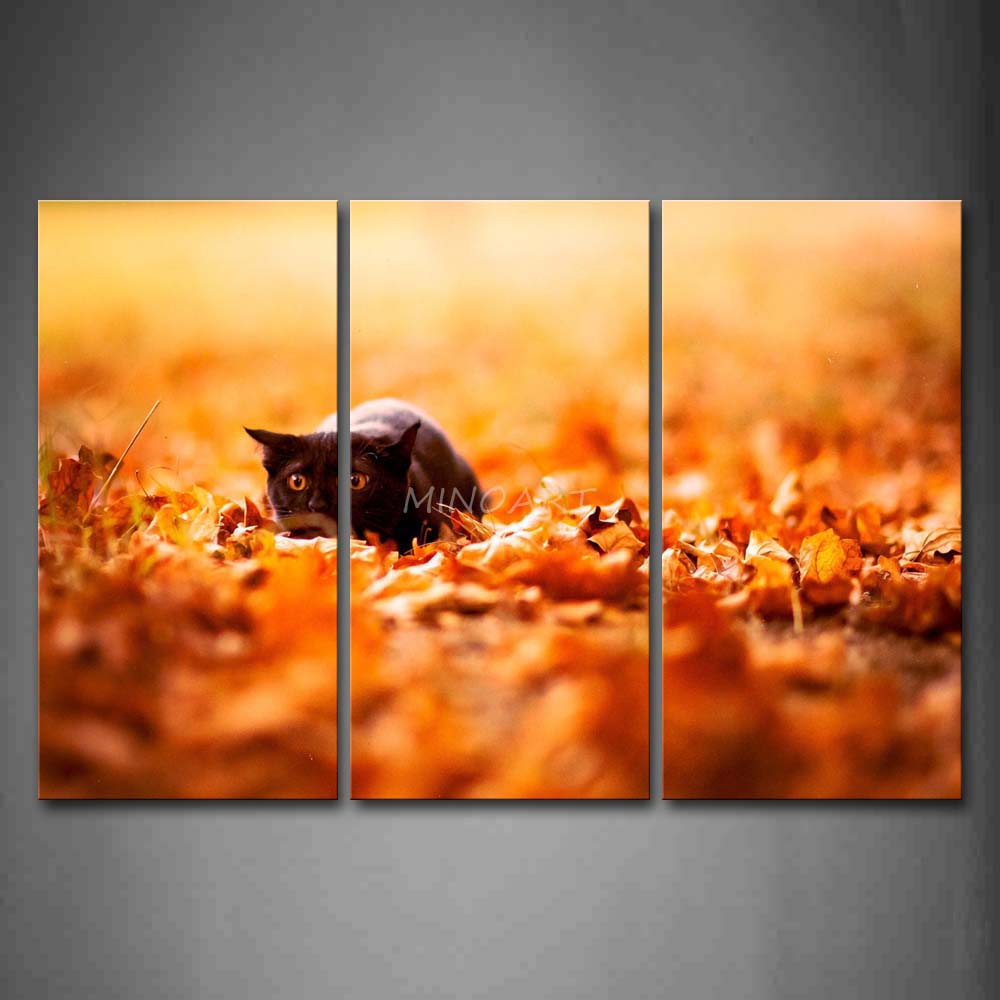 Achetez en gros noir noir photos de la feuille en ligne à des ...