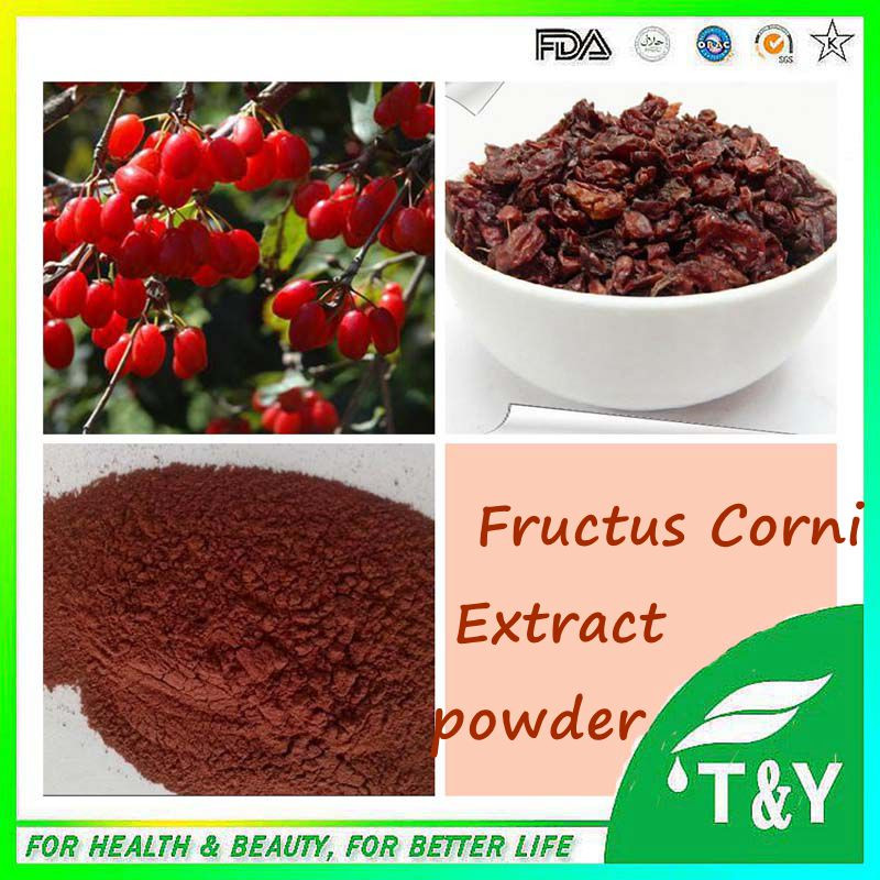 Hot sale Plant extract Cornus officinalis extract/Common Macrocarpium