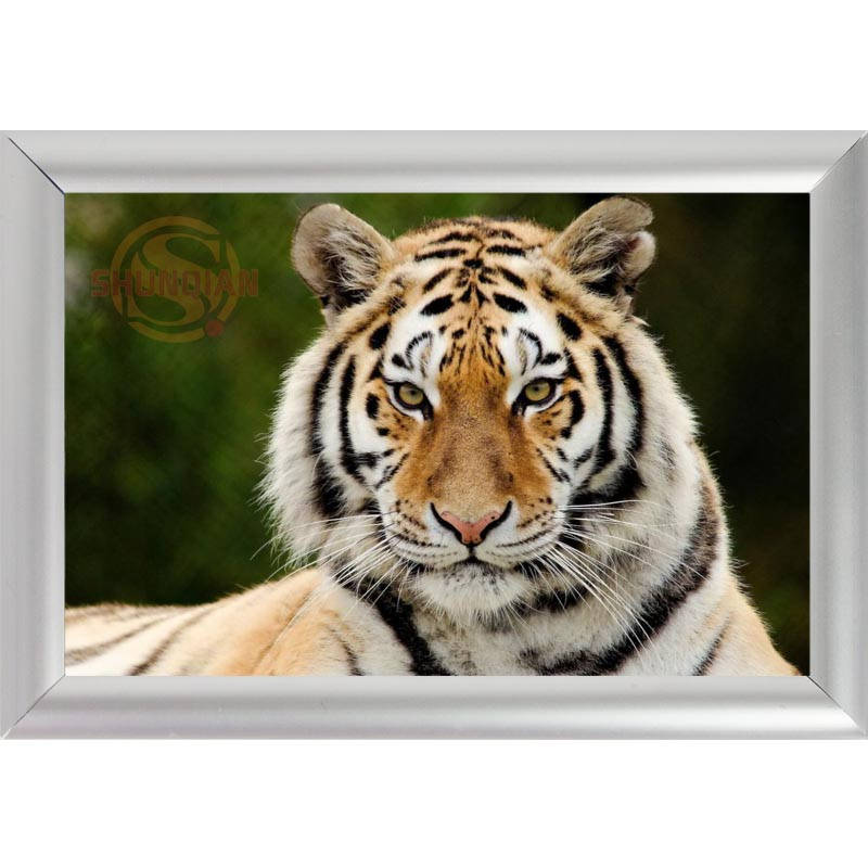 Popular Tiger Picture FramesBuy Cheap Tiger Picture Frames lots from