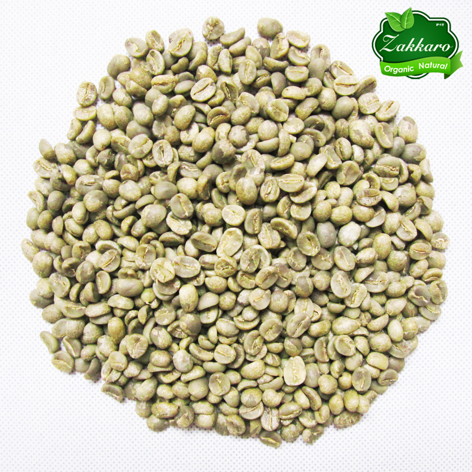 High Quality 1200M Raw Catimor Green Coffee baking Beans Organic Natural 500g Pack instant barley honey