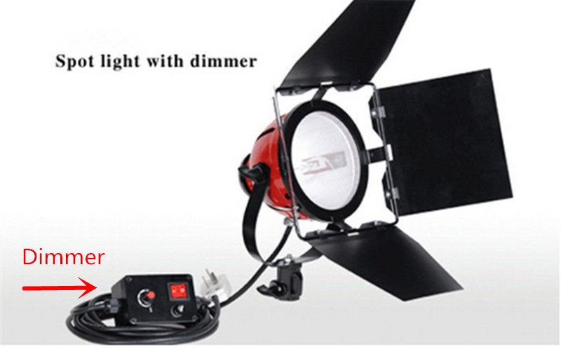 800W Red Head Light SPOTLIGHT Studio Continuous Light with DIMMER for Studio Photography NICEFOTO RDG-800A (2)