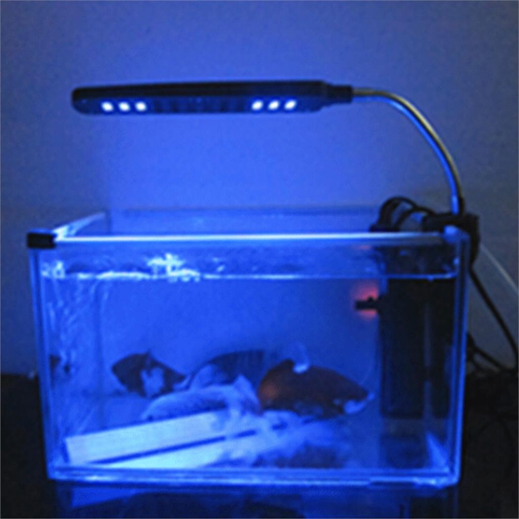     24 LED 3         Fish Tank 
