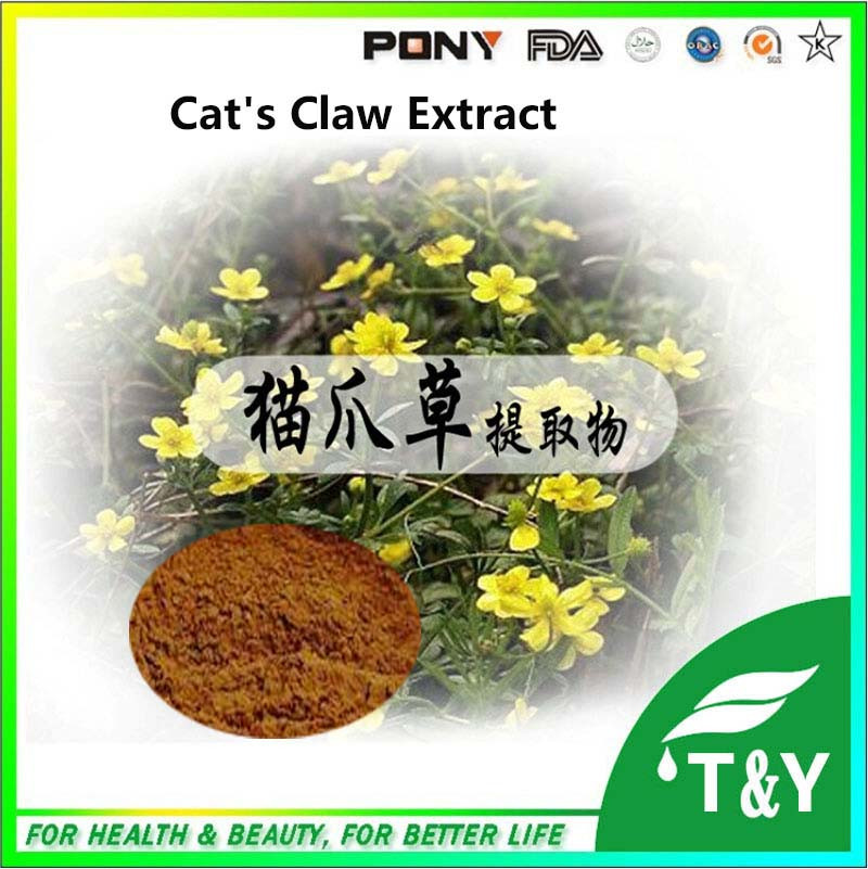 Catclaw Buttercup Root Extract / Ranunculus ternatus Thunb. P.E/ Cat's Claw P.E./ Radix Ranunculi Ternati