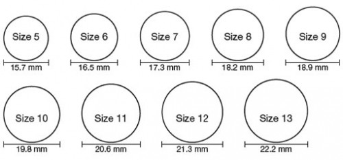 ring-chart-500x233