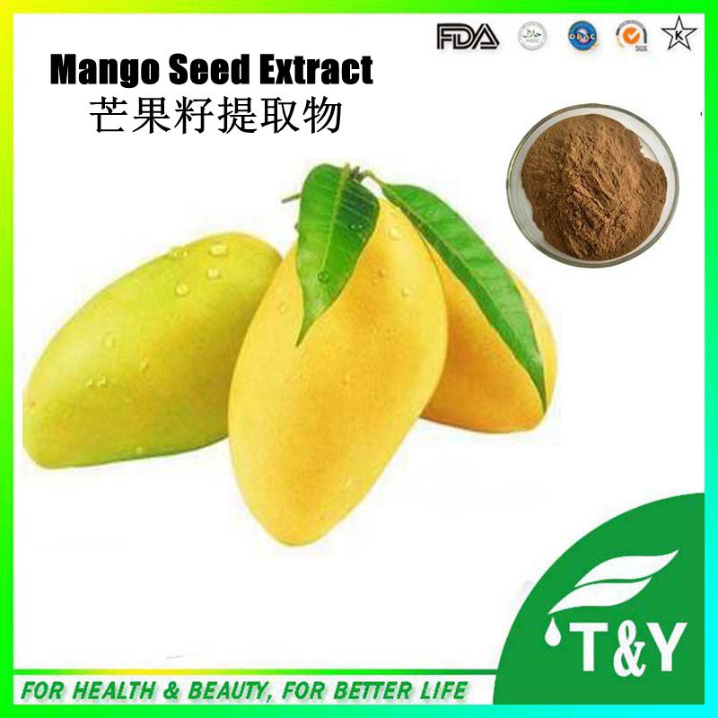African Mango Seed Extract Powder, African Mango Seed P.E., African Mango Seed Powder Extract 600g/lot