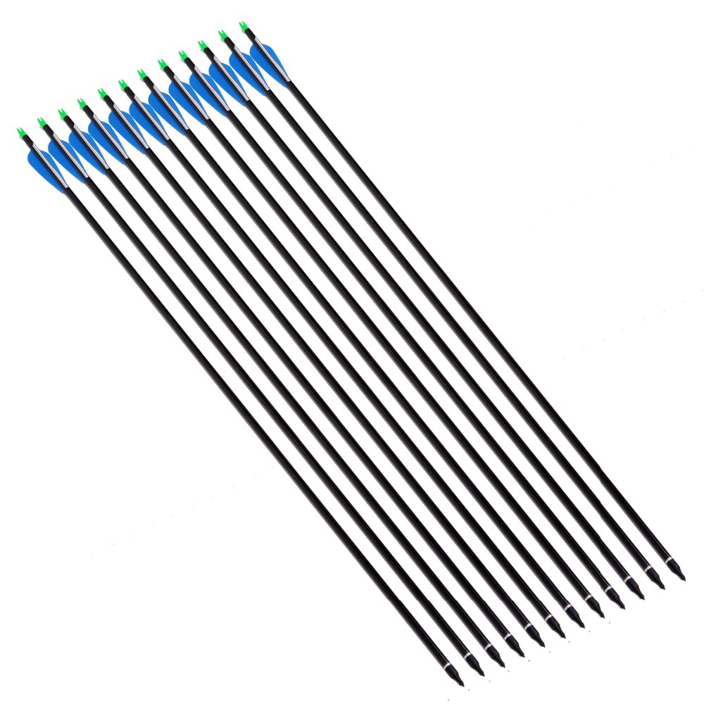 12pcs Archery Carbon arrows 30 Length Plastic Feather 80 Carbon Arrow shaft for Recurve Bows Carbon