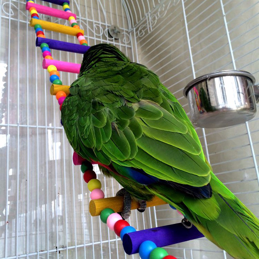 Funny-Colorful-Wooden-Pet-Bird-Toys-Ladder-Climb-Parrot-Drawbridge-Bridge-Macaw-Cage-Swing-Shelf-Singing-Parrot-Bites-Toys-PT0113 (7)