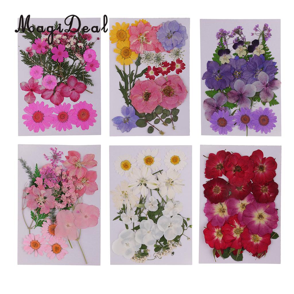 Nature Dried Flowers//Leaves//Petals-Katieaa Real Dried Embossing-Mixed Natural Dry Flowers for Crafts//DIY Candle//Scrapbooking//Jewelry Pendant//Decoration Yellow