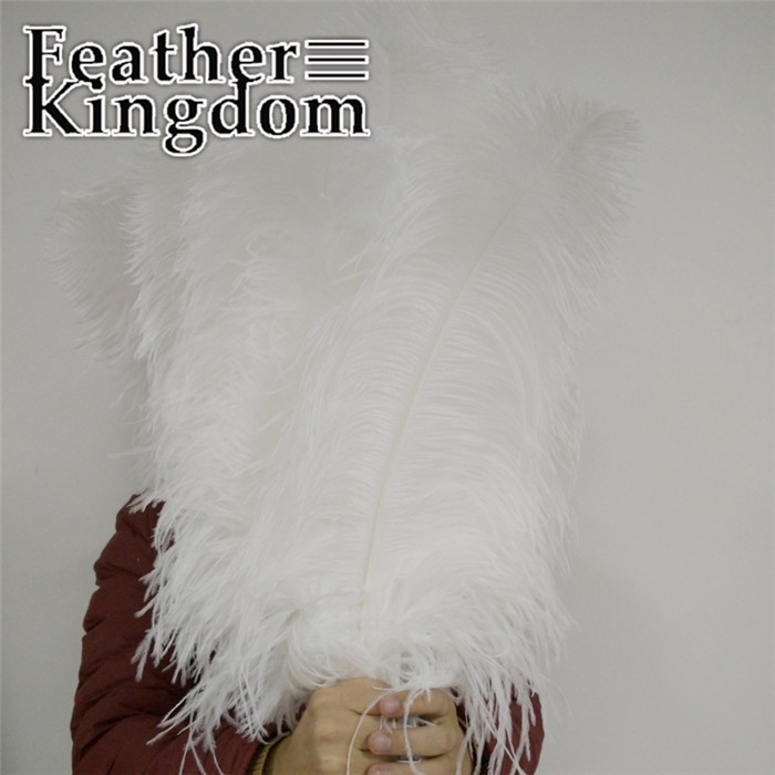 50-55cm white ostrich feather 1