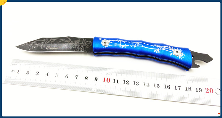 A 07 New design Folding Blade blue Stainless steel knife handle Hunting knives fruit knife Netherlands