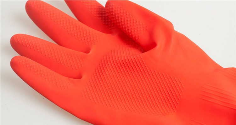 1983446358_1144542633