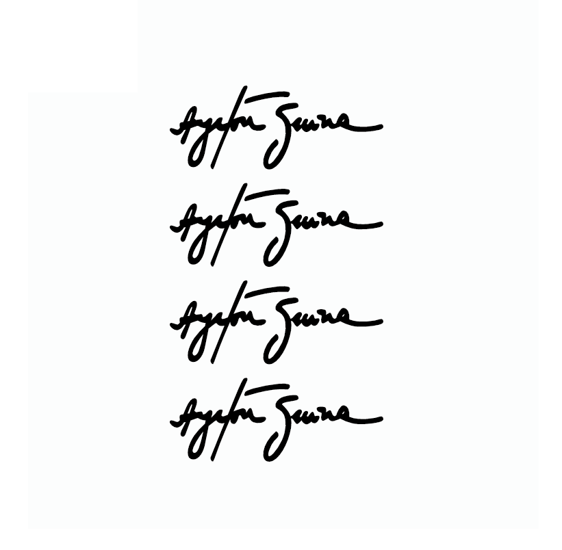 Ayrton Senna Signature F1 Racing Vinyl Sticker Decal Black