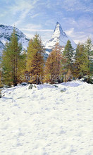 Free 2015 scenic vinyl photography backdrops2360 photo studio photographic background5x8ft ,photo background ,photography studio