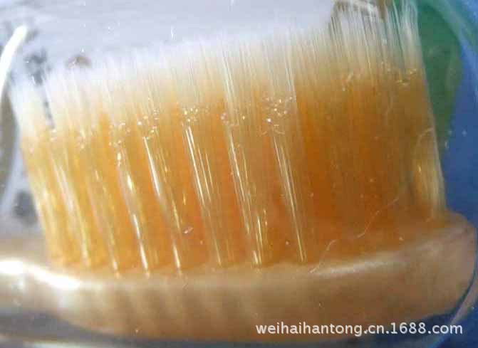  net Le gold nano gold teeth brush (8)