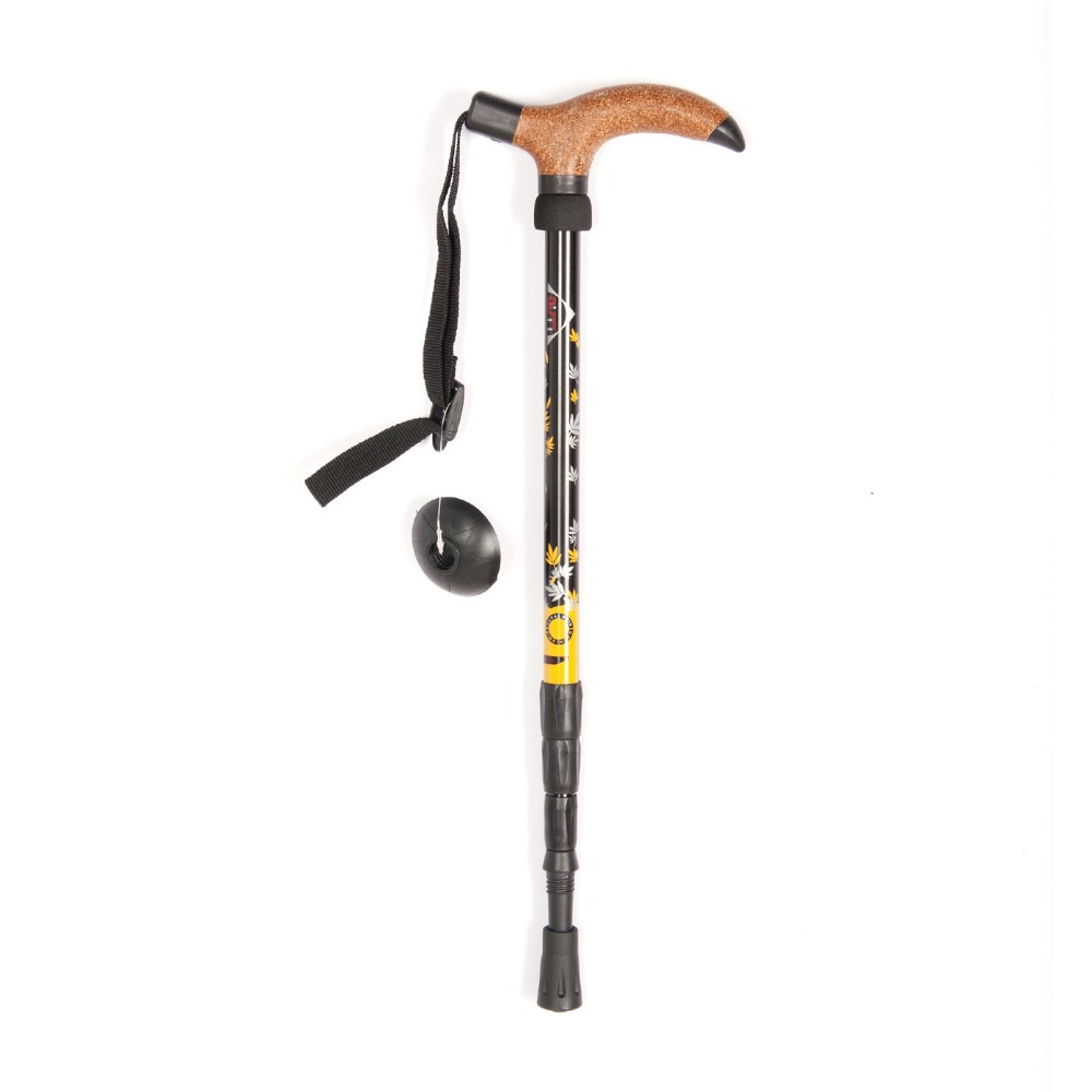 Canne marche telescopique