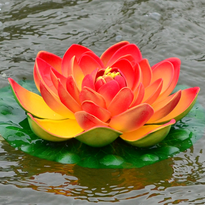lotus divorced singles dating site Meet divorced singles on firstmet - online dating made easy welcome to the simplest online dating site to date, flirt, or just chat with divorced singles. lotus divorced singles dating site Meet divorced singles on firstmet - online dating made easy welcome to the simplest online dating site to date, flirt, or just chat with divorced singles.