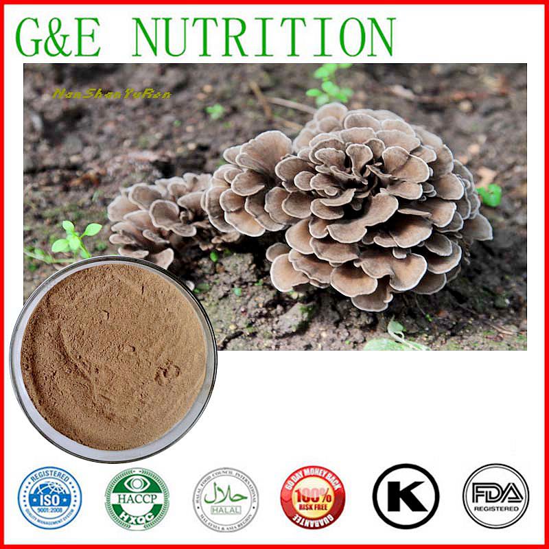 100% Natural Grifola Frondosa Extract / Maitake Mushroom Extract 1000g
