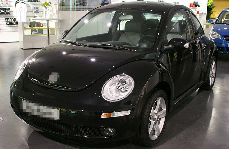 Beetle -1
