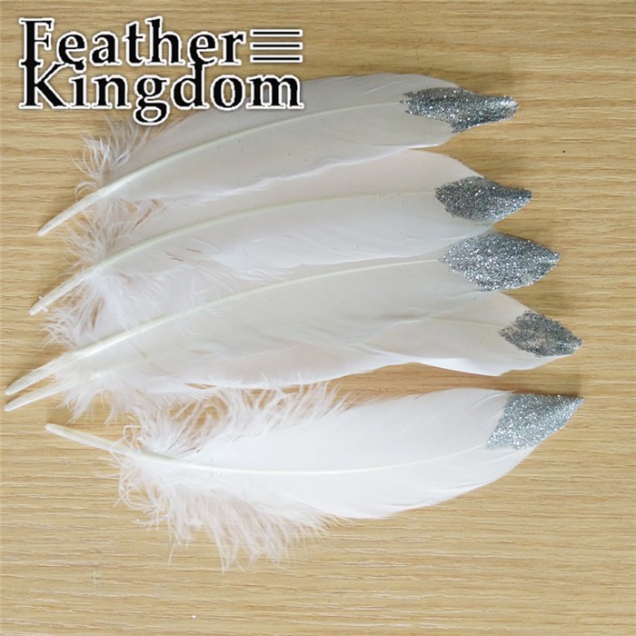 DIY goose feathers (20)