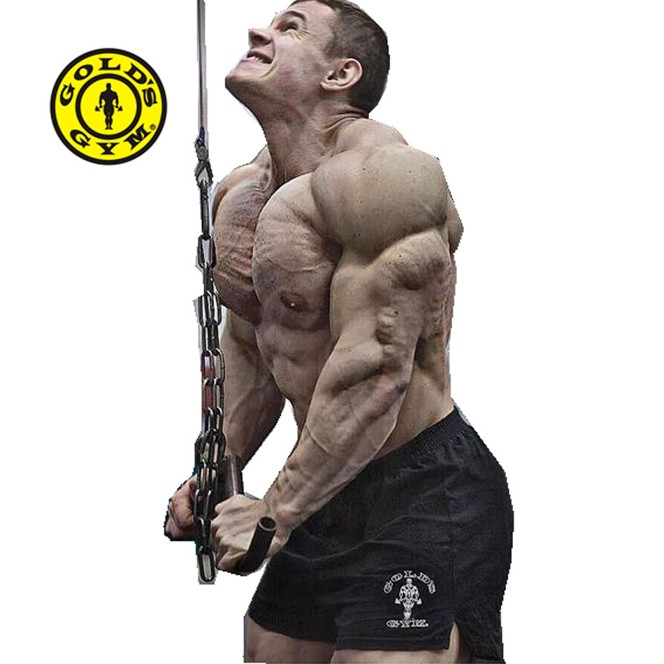 Six Pack Abs Workout The Best Barbell Upright Cable Row