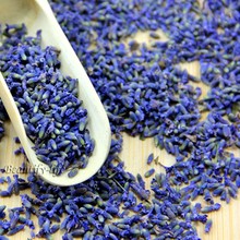 1000g Lavender flower tea,herbal tea,A2H05, Free Shipping