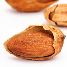 500g dried Almond Kernels badam nuts fruit badanmu apricot Delicious healthy Chinese snacks rich nutrition fruit