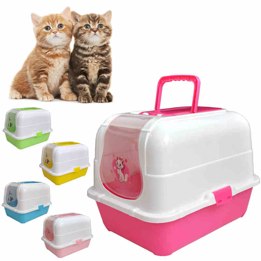 real girls message board nude cats peeing on plastic