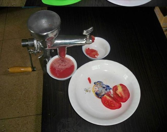 Stainless steel manual wheatgrass juicer (16)