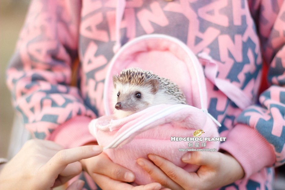 TB2UYHobFXXXXXsXpXXXXXXXXXX-129774407