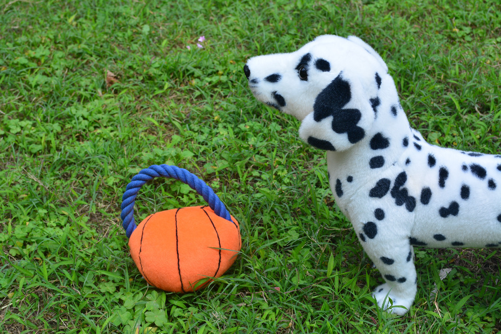 Outdoor-Playing-Pet-Dog-Toy-Ball-Designer-Chew-Whistle-Sound-Toys-For-Dogs-Plush-Rope-Large.jpg