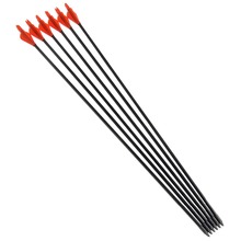 Free shipping 6PCS Archery Compound Bow Arrow Pracise Fiberglass Arrow 31 inch Length with Plastic Arrow