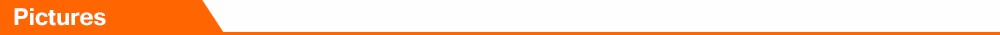 Pictures