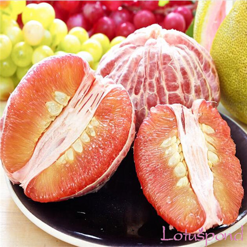 Online Kaufen Großhandel pomelo baum aus China pomelo baum