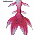 Girls Women Mermaid Tail With Monofin Swimmable Photos Props Summer Beach Vacation Cospaly Costumes Bikini Tail