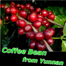 Free Shipping Coffee Flavor Pu er tea Pu er tea Mini Yunnan Puer tea Chinese tea