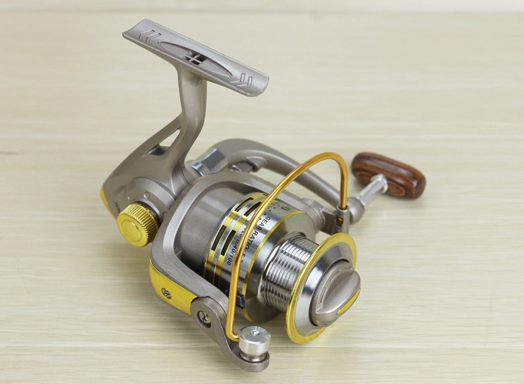 2265122858_1498406544