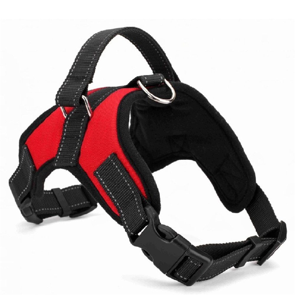 How to put Dog Harness on
