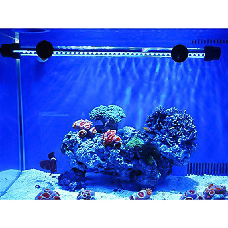 Fish Tank   F5        48  57 LED 4         