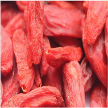Top Grade 840g Dried Organic Goji Berries SeedsThe King of Chinaese Wolfberry Medlar Bags Herbal Tea