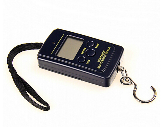 40kg x 10g Portable Mini Electronic Digital Scale Hanging Fishing Hook Pocket Weighing 20g Scale