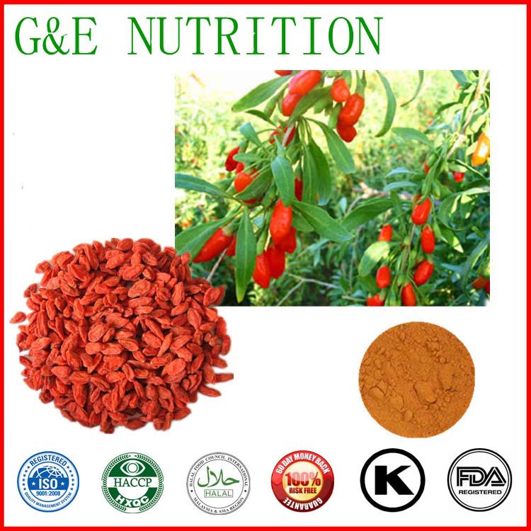 Small order welcome tranditional Chinese herbs extract lowering the blood fats goji berry extract powder 1000g