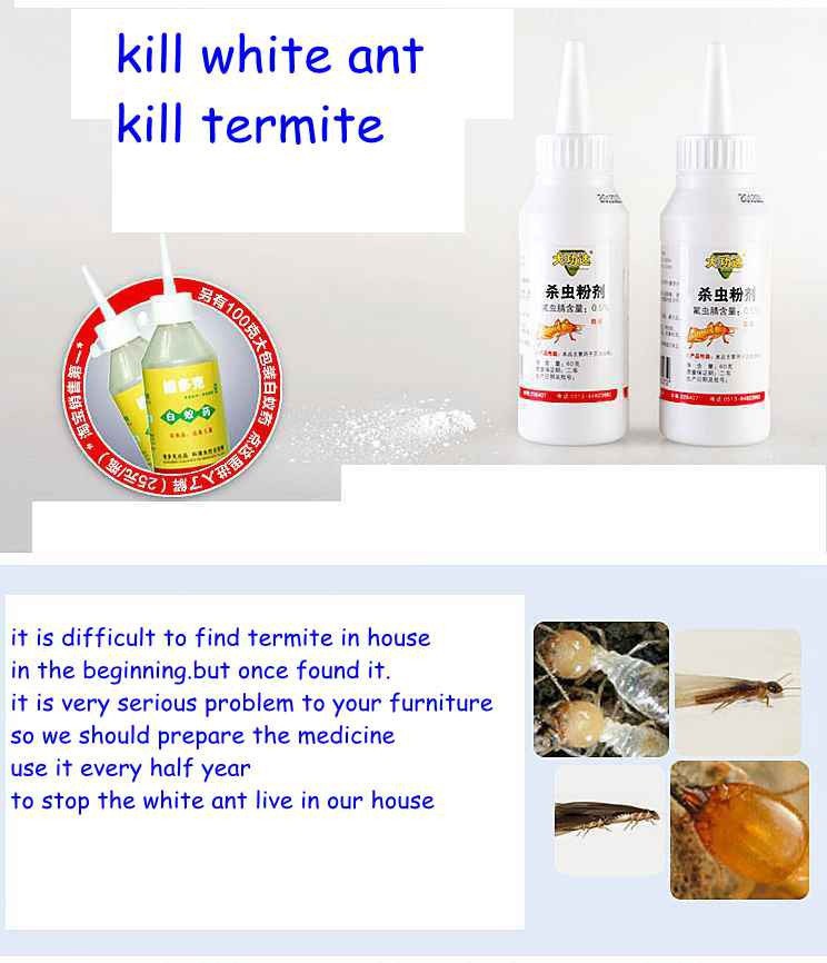Great WOOD TERMITES kill ants bait new arrival powder killing termites